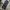 G-Star RAW Streetwear Y2K Jeans Pria multicolor photo 1