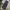 G-Star RAW Streetwear Y2K Jeans Pria multicolor photo 5