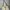 Yves Saint Laurent YSL Avant Garde Shoulder Bag Wanita Cream