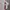 Le Coq Sportif Sportswear Jersey Pria white photo 2