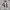 Le Coq Sportif Sportswear Jersey Pria white photo 5