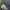 Nudie Streetwear Indie Jeans Pria navy photo 6