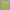 Patagonia Streetwear Indie T-shirt Pria green yellow photo 1