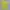 Patagonia Streetwear Indie T-shirt Pria Green Yellow