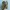 On Running Sportswear Casual Sneakers Pria green photo 5