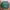 L.L.Bean Streetwear Casual Sweatshirt Pria green photo 1