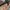 Adidas Streetwear Casual Bag Pria multicolor photo 5