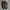 Adidas Streetwear Casual Bag Pria multicolor photo 4
