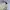 Timberland Streetwear Sportswear Jumper Pria cream photo 1