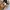 Timberland Streetwear Sportswear Jumper Pria cream photo 5