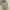 Timberland Streetwear Sportswear Jumper Pria cream photo 2