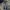 PLAC Luxury Casual Jeans Pria blue photo 1