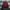 Japanese Brand Streetwear Biker Track Jacket Pria Burgundy