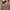 Vintage Indie Cardigan Wanita brown photo 4