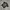 Affection Los Angeles Y2K Avant Garde T-shirt Pria black photo 2