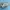 Salomon Gorpcore Casual Sneakers Pria tan photo 4