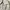 Uniqlo Y2K Casual Casual shirt Pria white photo 2
