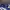 Adidas Streetwear Sportswear Pria blue photo 2