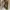 Converse Vintage Indie Boots Pria white brown photo 4