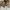 Converse Vintage Indie Boots Pria white brown photo 2