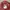 Stussy Casual Casual shirt Pria red photo 5