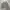 Russell Athletic Streetwear Sweater Pria gray photo 1