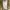 Jil Sander Avant Garde Casual Midi dress Wanita tan cream photo 6