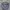 Kangol Y2K Casual Hat Wanita gray photo 4