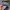 Kangol Y2K Casual Hat Wanita gray photo 3
