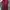 Casual Going out dress Wanita red photo 2