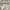 Dries Van Noten Avant Garde Casual shirt Pria white photo 4