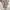 Dries Van Noten Avant Garde Casual shirt Pria white photo 3