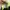 New Balance Casual Sneakers Pria green gray photo 6