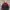 Champion Vintage Sportswear Suit Pria red black photo 1