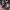 Champion Vintage Sportswear Suit Pria red black photo 4