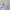 Vintage Flare pants Wanita white gray photo 2