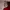 Nike Streetwear Y2K Sneakers Pria white red photo 2