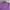 Oakley Vintage Sportswear Sweater Pria purple photo 3
