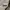 Oakley Streetwear Y2K Formal shirt Pria tan cream photo 6