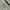 Oakley Streetwear Y2K Formal shirt Pria tan cream photo 5