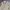 Oakley Streetwear Y2K Formal shirt Pria tan cream photo 3