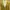 Casual Cardigan Wanita yellow photo 2