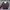 Nike Sportswear Casual Windbreaker Pria burgundy red photo 2