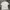Adidas Sportswear T-shirt Pria white photo 4