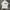 Adidas Sportswear T-shirt Pria white photo 1