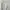 Casual Cardigan Wanita white photo 3
