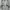 Vintage Cardigan Wanita white gray photo 1