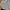 Converse Casual Formal shirt Pria white photo 2