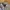 Converse Casual Formal shirt Pria white photo 4