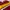 Casual Sweatshirt Pria red yellow photo 3
